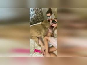 A hard and intense zoophilia scene with Sonya