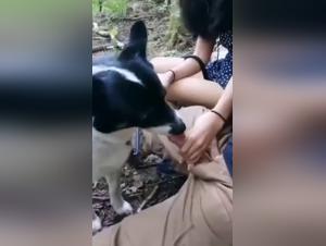 Discover the Forbidden Pleasures of Zoophilia