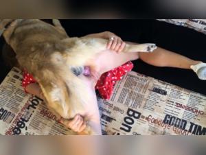 The woman's anal experience is a true delight