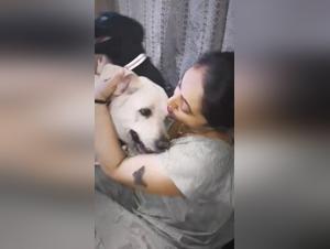Andare oltre i limiti: Dog Fetish e Wild Delights