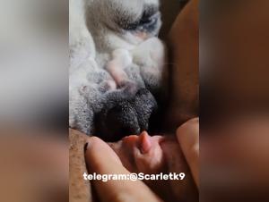 teen subject to animal pleasure
