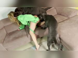 ethical boundaries in animal desire