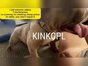 unforgettable experiences with dogs