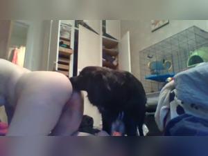 Hardcore Bestiality Sex Scenes with Dogs