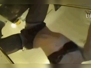 Experience Sex with a Dog Like You've Never Seen Before