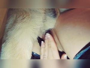 Taboo transgression: the limits of exploited animal desire