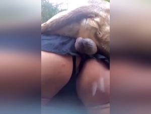Hundedominanz und intensive Orgasmen - Jetzt ansehen