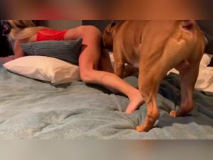 Intense Dog-Sex: An Examination of Passion and Execution