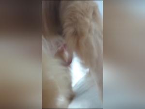 moral implications explored