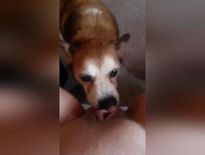 Watch this exciting zoophilia video