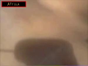 Découvrez l'Extase de la Zoophilie