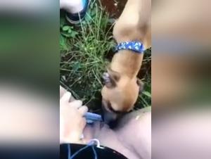 Exciting Bestiality Video with a Girl and Her Four-Legged Best Friend