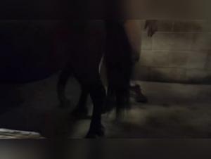 Hot wife and dog having extreme pleasure