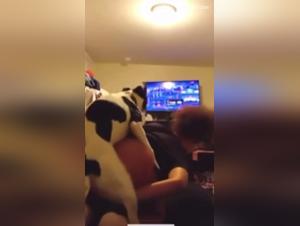 The Black Pussy of the Dog Lover