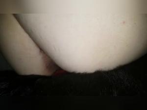 Shocking video: bestiality sex with a dog