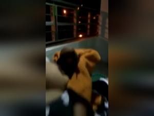 Discover sex with a dog in a zoophilia video