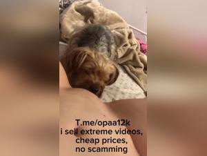 Bestiality sex video: woman and dog