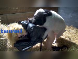 plugship experience yasmin