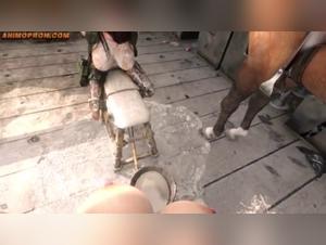 Discover the World of Zoophilia