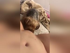 Sex videos with animals: Watch this hardcore zoophilia scene