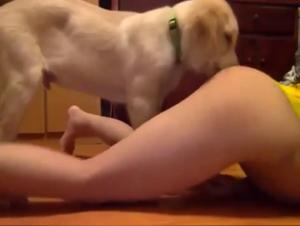 dog sex orgasm female
