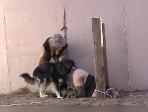 Dog sex videos like you've never seen before