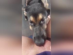 Hardcore Sex Scene with a Dog