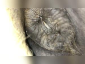 Episode 2: The Donut Chef - An Intimate and Passionate Encounter