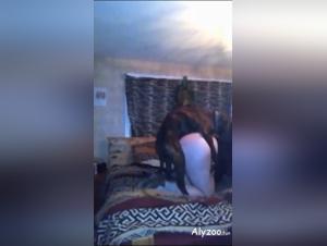 The various ways in which the prostitutes express themselves