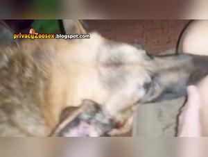 Video of Extreme Zoophilia with a Dog