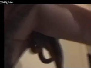 Zoofilia giapponese: orgasmo anale intenso e crudele