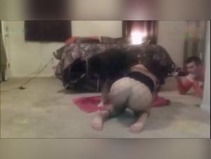 Extreme dog sex video