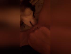 passion and animal intimacy