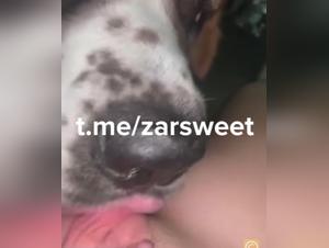 Scopri il brivido malsano del sesso degli animali e i suoi sporchi impulsi
