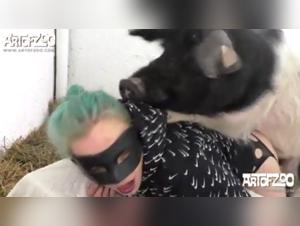 Esplora il limite: scopata con il cane, dominazione canina