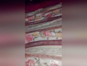 Mexzoo's Unveiling: Intimacy and Transgression