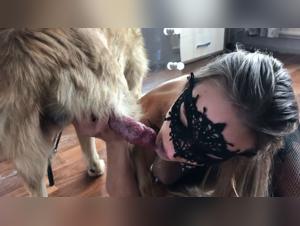 Beyond Boundaries: Art and Canine Connection