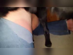 Experience the Thrill of Amateur Dog Sex Videos