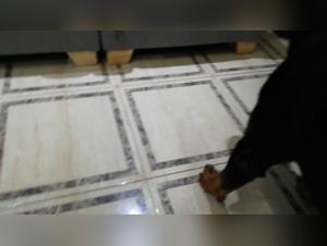 Extreme dog sex video