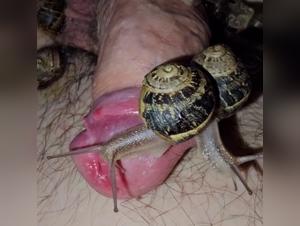 Intime Momente mit vierbeinigen Begleitern