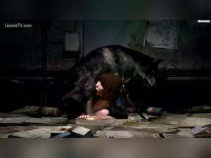Vidéo de sexe avec un chien : découvrez la bestialité