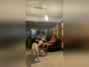 tiktok beast bestialica