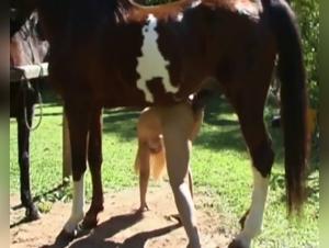 A hot and intense encounter