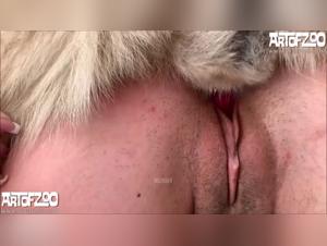 Animalita incontrollata: Kaia viene con un cane