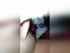 Bestiality Video with a Teenage Girl