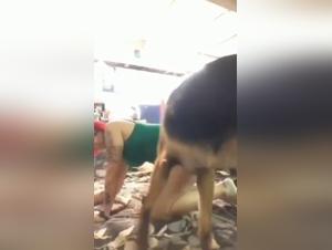 Zoophilia Video: Discover the World of Bestiality