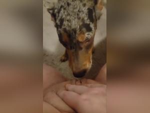 Check out our dog sex video