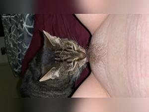 Bestiality and Extreme Sex