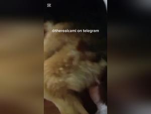 Roher Analsex: Blondine mit tierischem Vergnugen