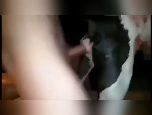 dog blowjob & beastiality redefined